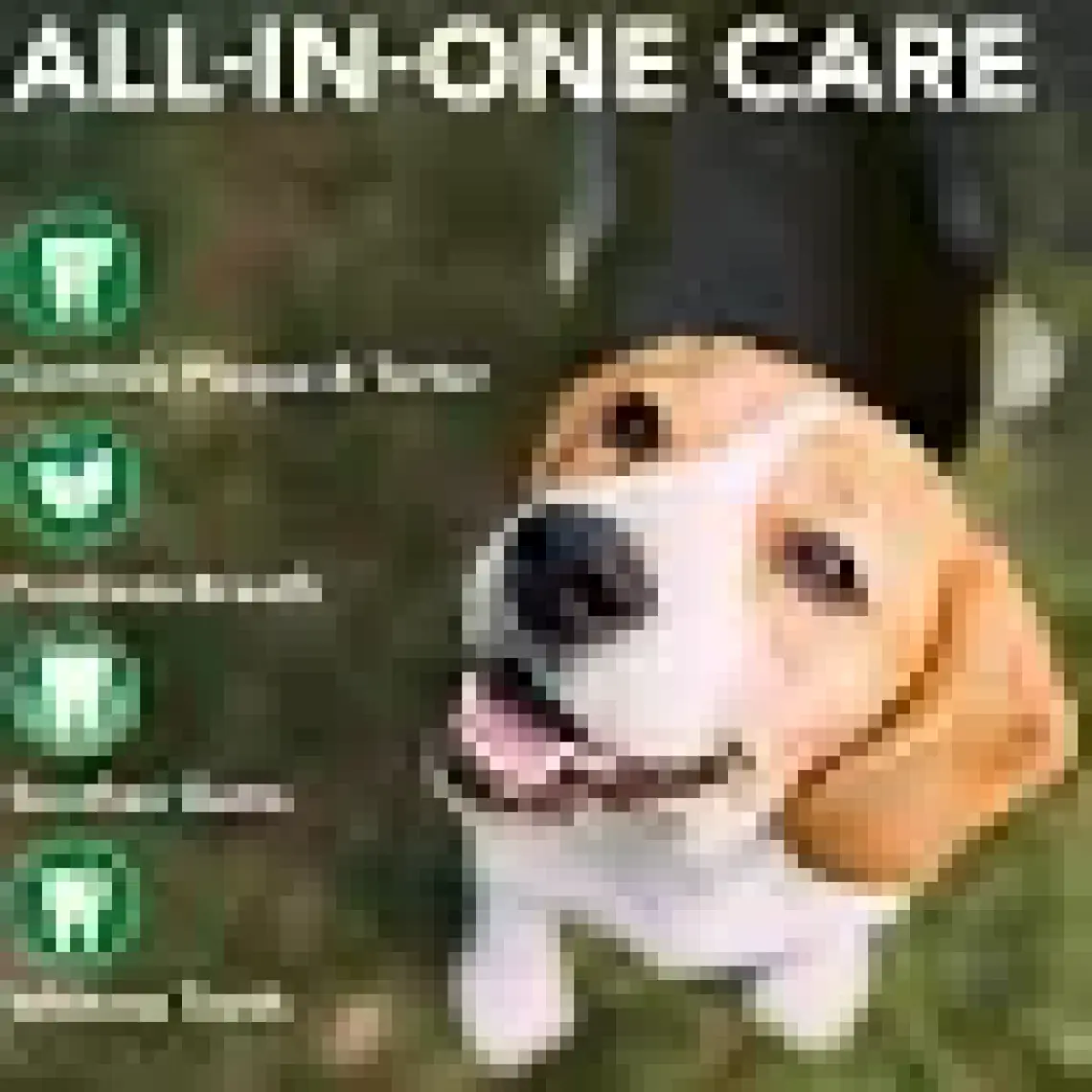 Vet's Best Köpekler İçin 3 Başlı Diş Fırçası