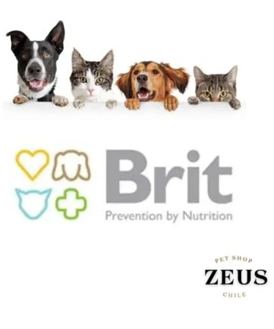 Brit Care Kuzulu Pirinçli Yaşlı Köpek Kuru Maması 12 Kg