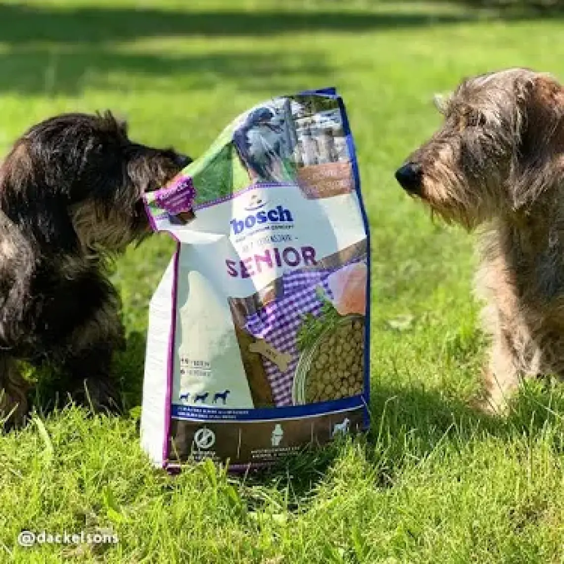 Bosch Senior Yaşlı Köpek Maması 12.5 kg
