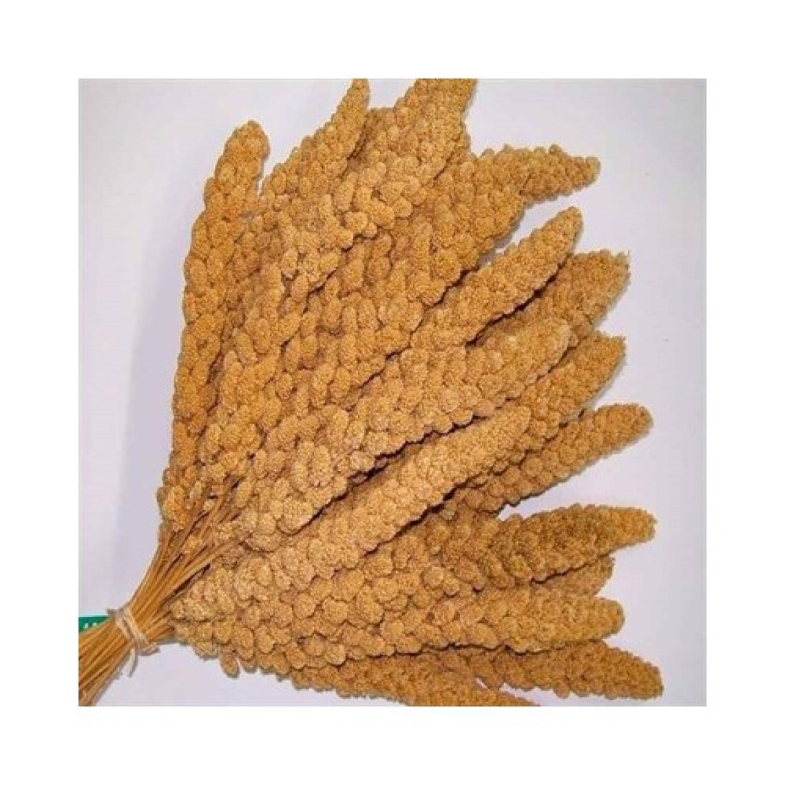 Özlem Sarı Dal Darı 500 gr