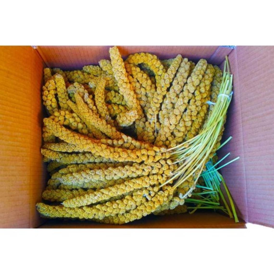 Özlem Sarı Dal Darı 500 gr
