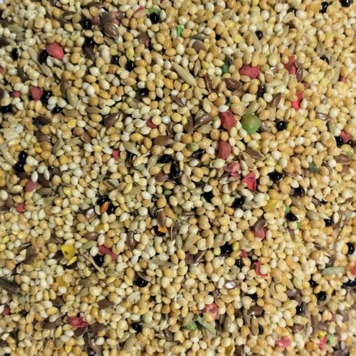 Muhabbet Kuşu Yemi 10 kg