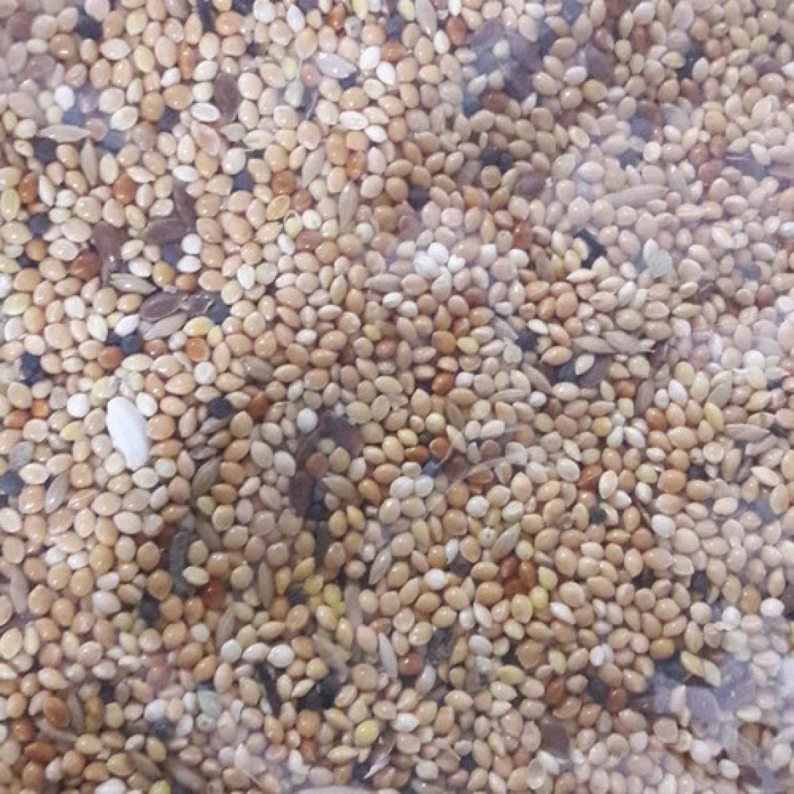 Roxin Kuş Üretici Muhabbet Yemi 5 Kg Ambalajda