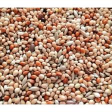 Delux Lux Karışık Muhabbet Kuşu Yemi 2 kg