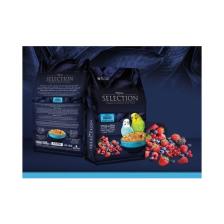 My Yem Myyem Selection  Muhabbet Kuşu Yemi (10 Çeşit Gerçek Meyve Parçalı) 1 kg