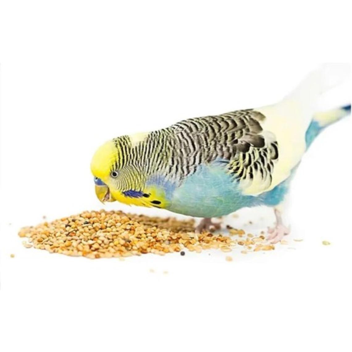 Beak's Kabuksuz Muhabbet Kuş Yemi 750 gr