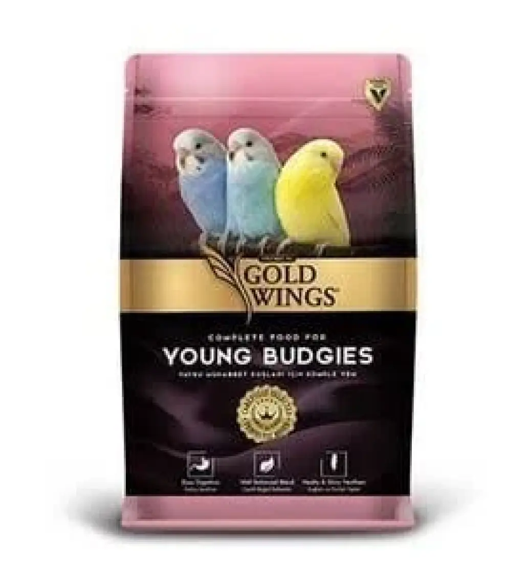 Berlin Shop Gold Wings Premium Yavru Muhabbet Yemi 1 kg