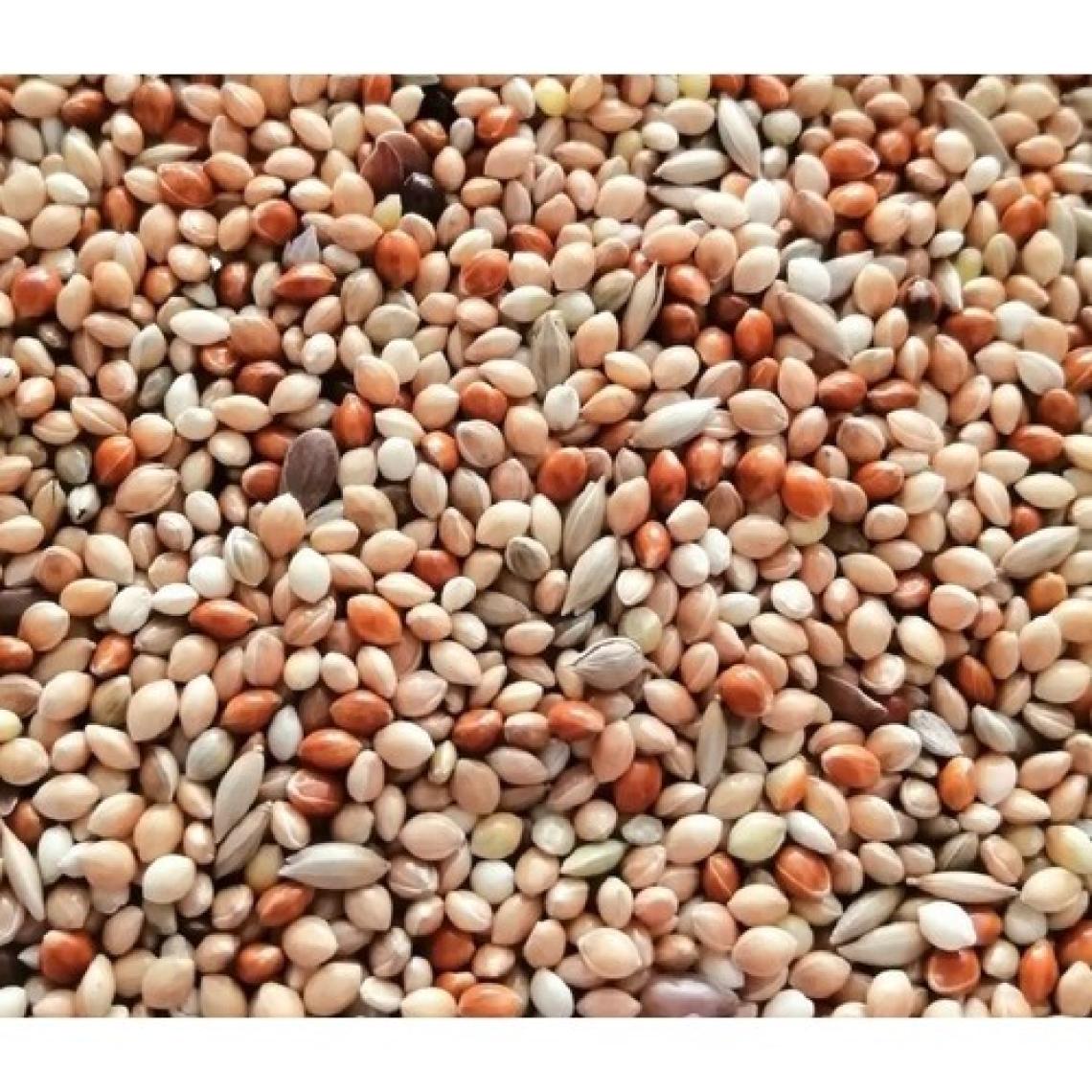 Delux Lux Karışık Muhabbet Kuşu Yemi 4 kg