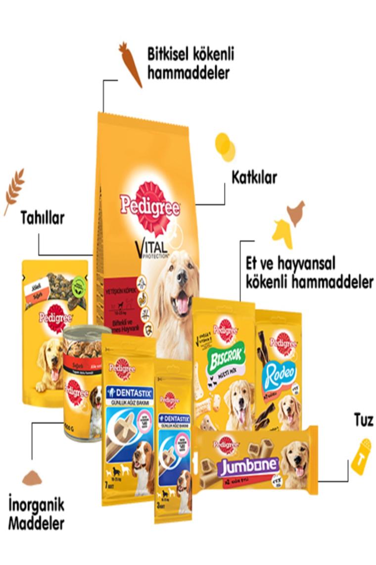 Biftekli Sebzeli Küçük Irk Yetişkin Köpek Maması 2 Kg Vital