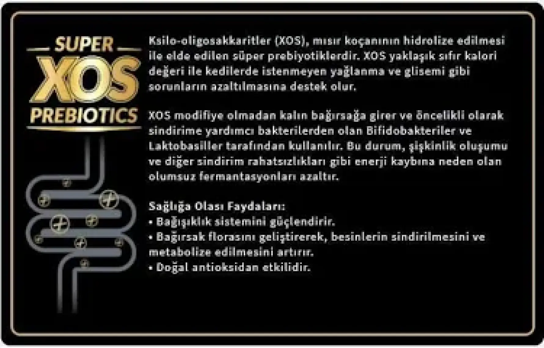 Reflex  Plus Yüksek Aktiviteli Yetişkin Köpekler İçin Dana Etli Köpek Maması 3 Kg