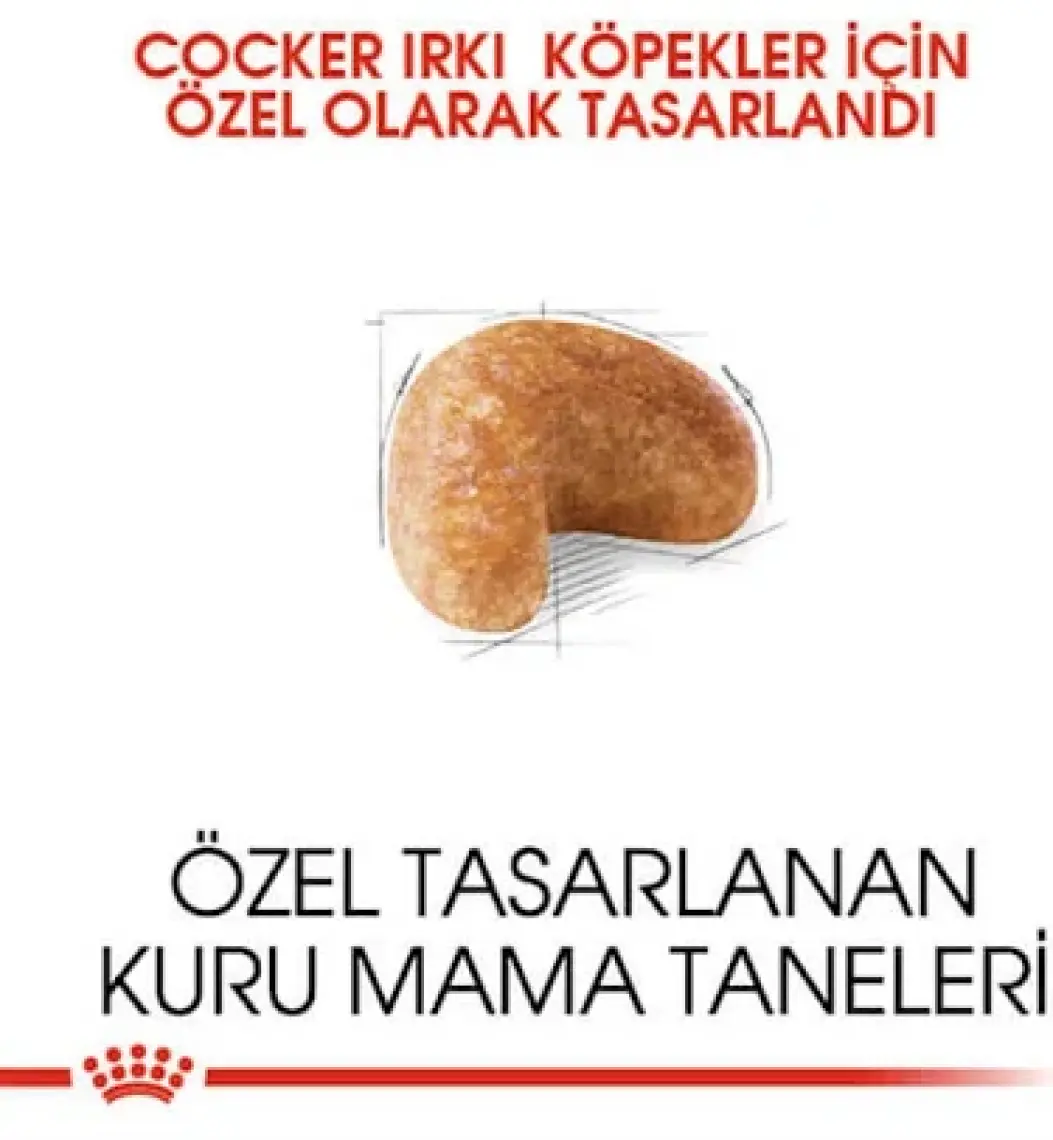Royal Canin Cocker Adult Yetişkin Köpek Maması 3 Kg