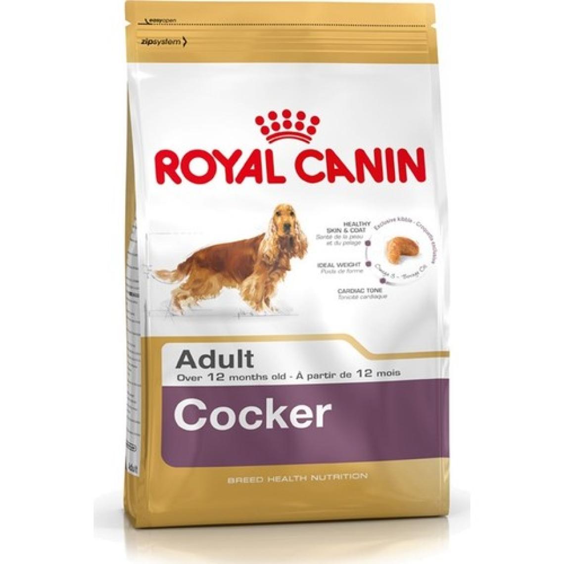 Royal Canin Cocker Spaniel 25 Köpek Maması 3 Kg