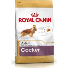 Royal Canin Cocker Spaniel 25 Köpek Maması 3 Kg