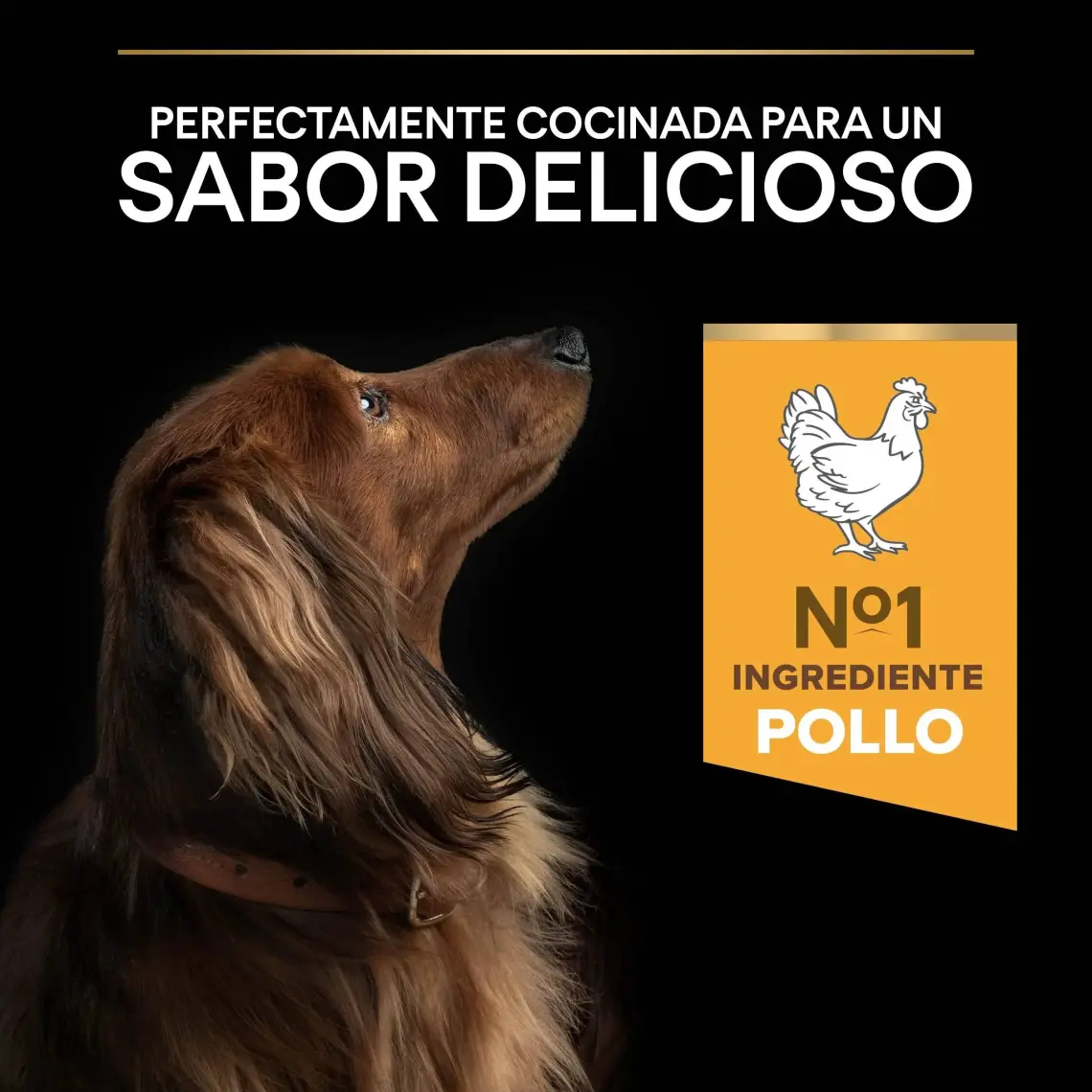Pro Plan Adult Small Mini Tavuklu Yetişkin Köpek Maması 3 kg