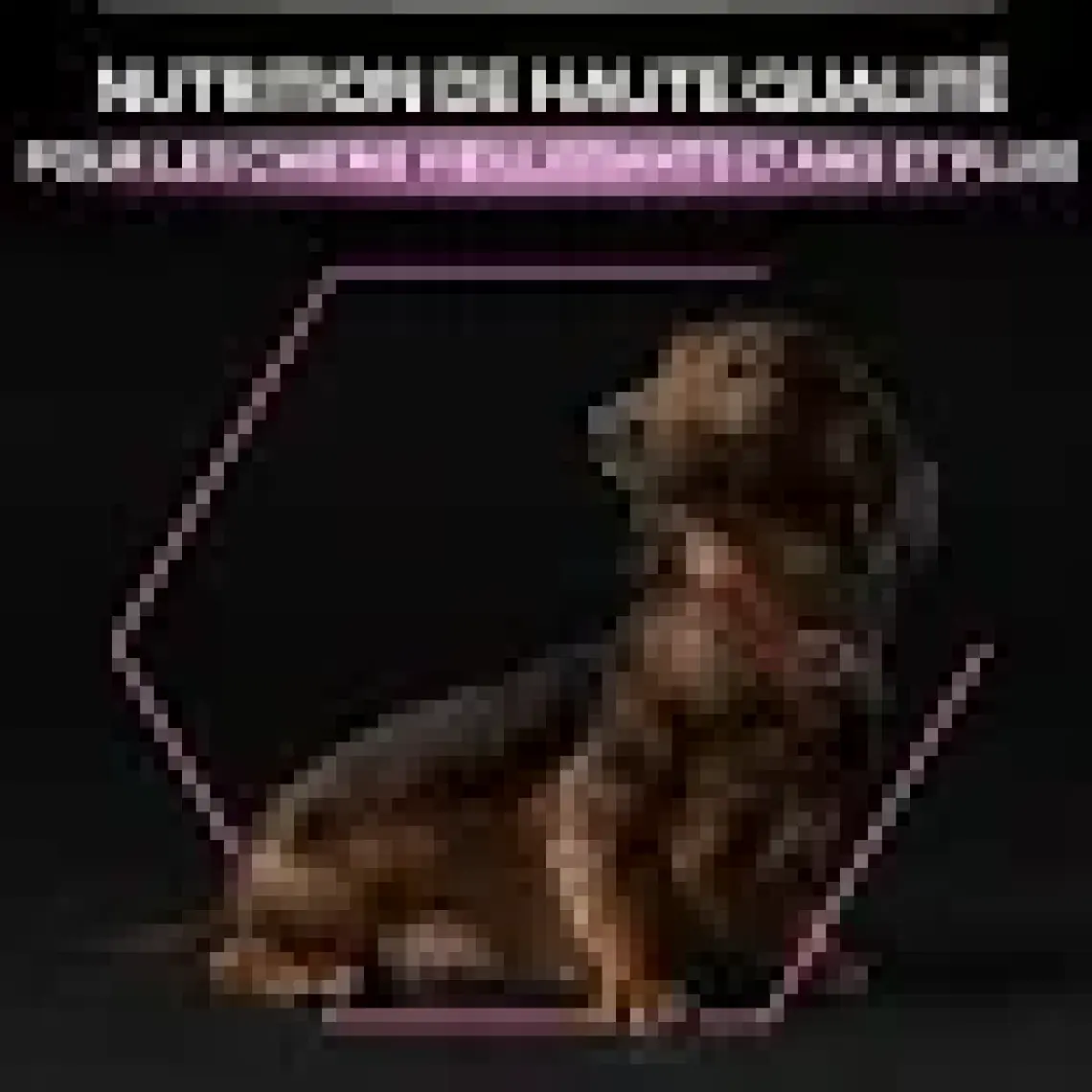 Pro Plan Adult Small Mini Tavuklu Yetişkin Köpek Maması 3 kg