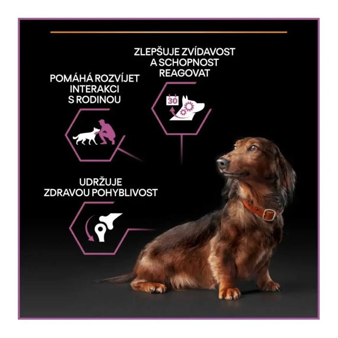 Pro Plan Adult Small Mini Tavuklu Yetişkin Köpek Maması 3 kg