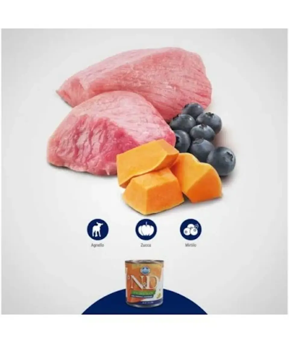 Nd Balkabaklı Kuzulu Yaban Mersini Köpek Konserve Maması 285 gr