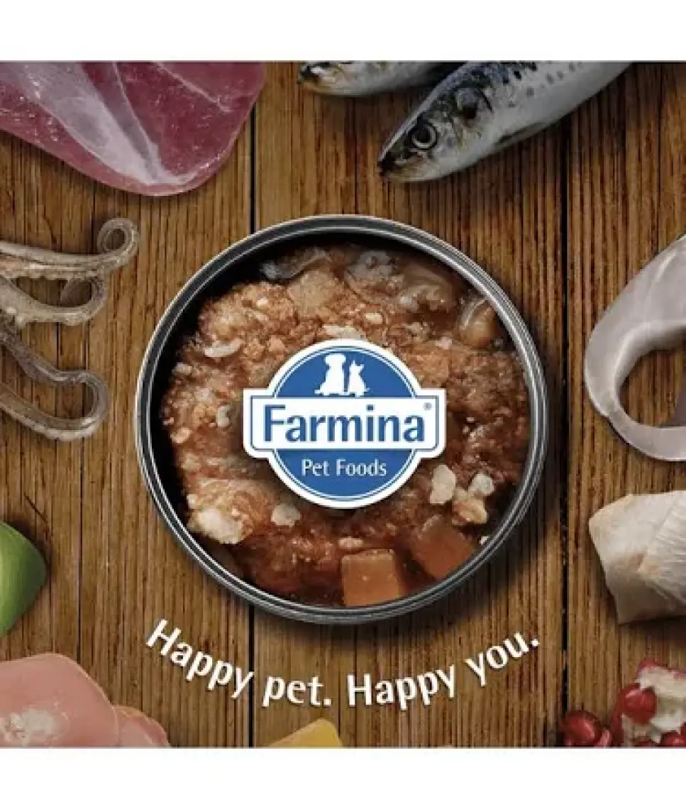 Nd Balkabaklı Kuzulu Yaban Mersini Köpek Konserve Maması 285 gr