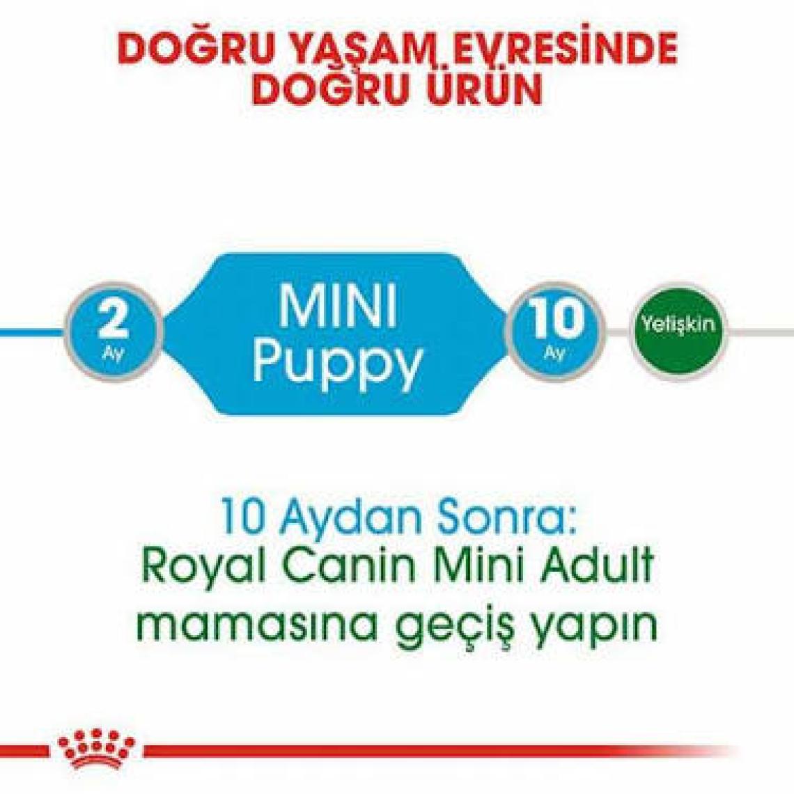 Royal Canin Mini Puppy Pouch Küçük Irk Yavru Köpek Yaş Mama 85 G x 12 Adet