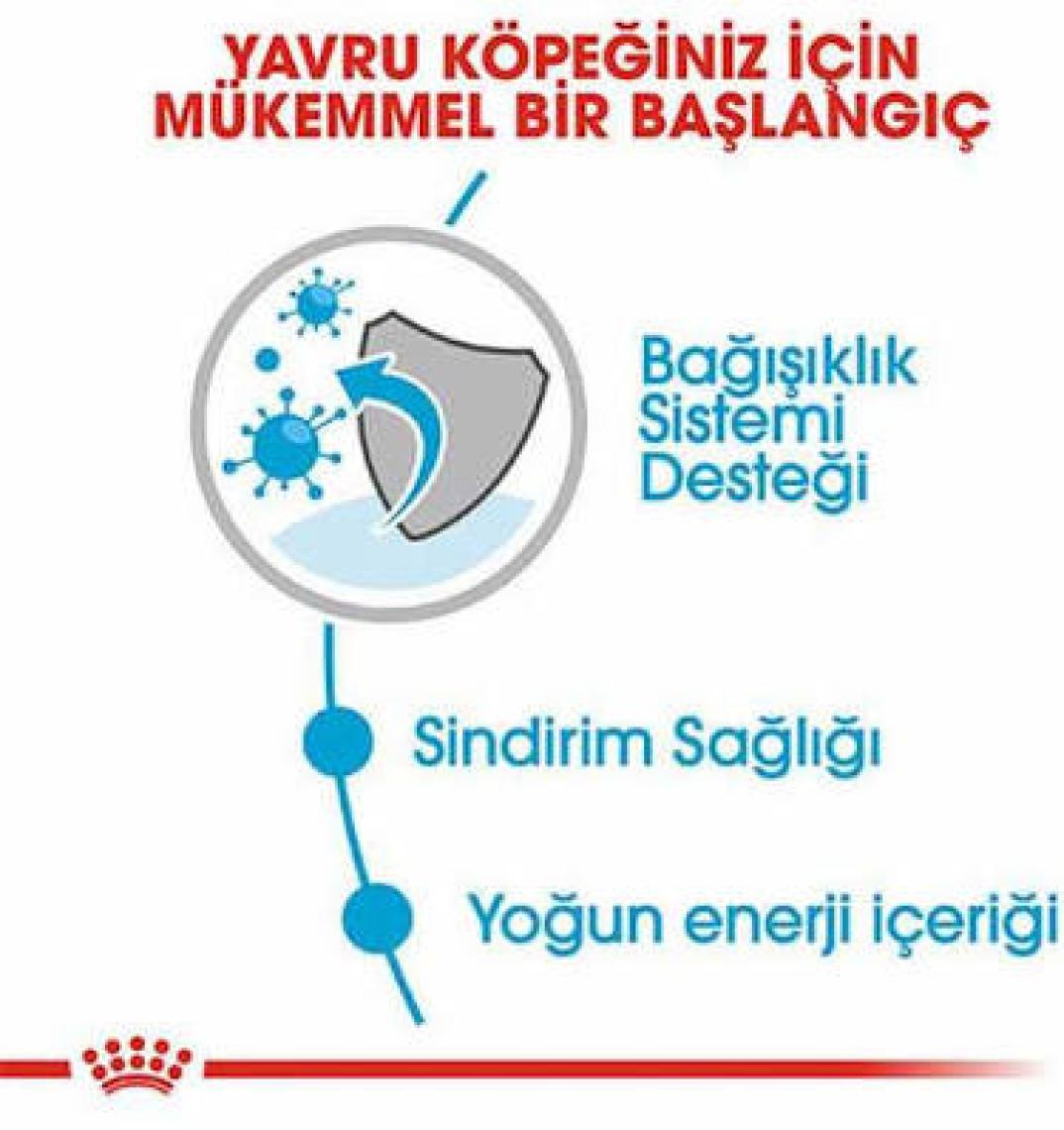 Royal Canin Mini Puppy Pouch Küçük Irk Yavru Köpek Yaş Mama 85 G x 12 Adet
