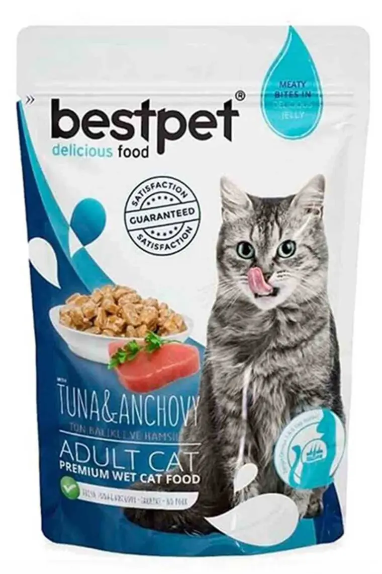 BestPet Kuzu Etli Yavru Köpek Konservesi 400gr