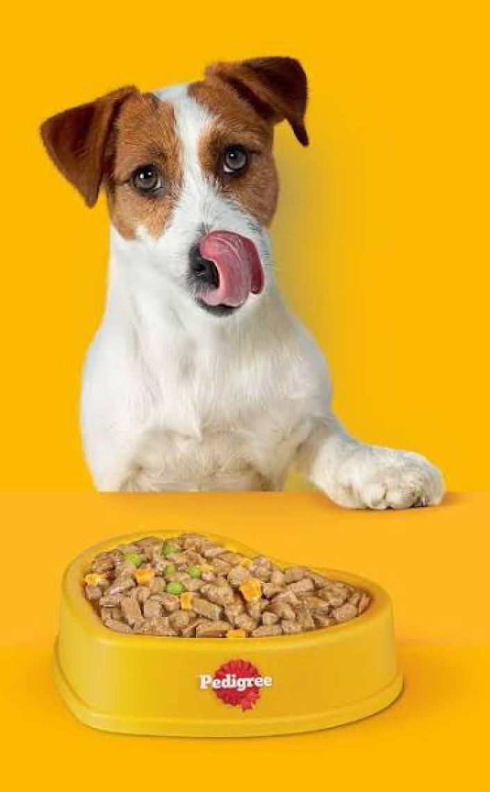 Pedigree Yavru Konserve Yaş Mama 400 G 12X