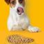 Pedigree Yavru Konserve Yaş Mama 400 G 12X