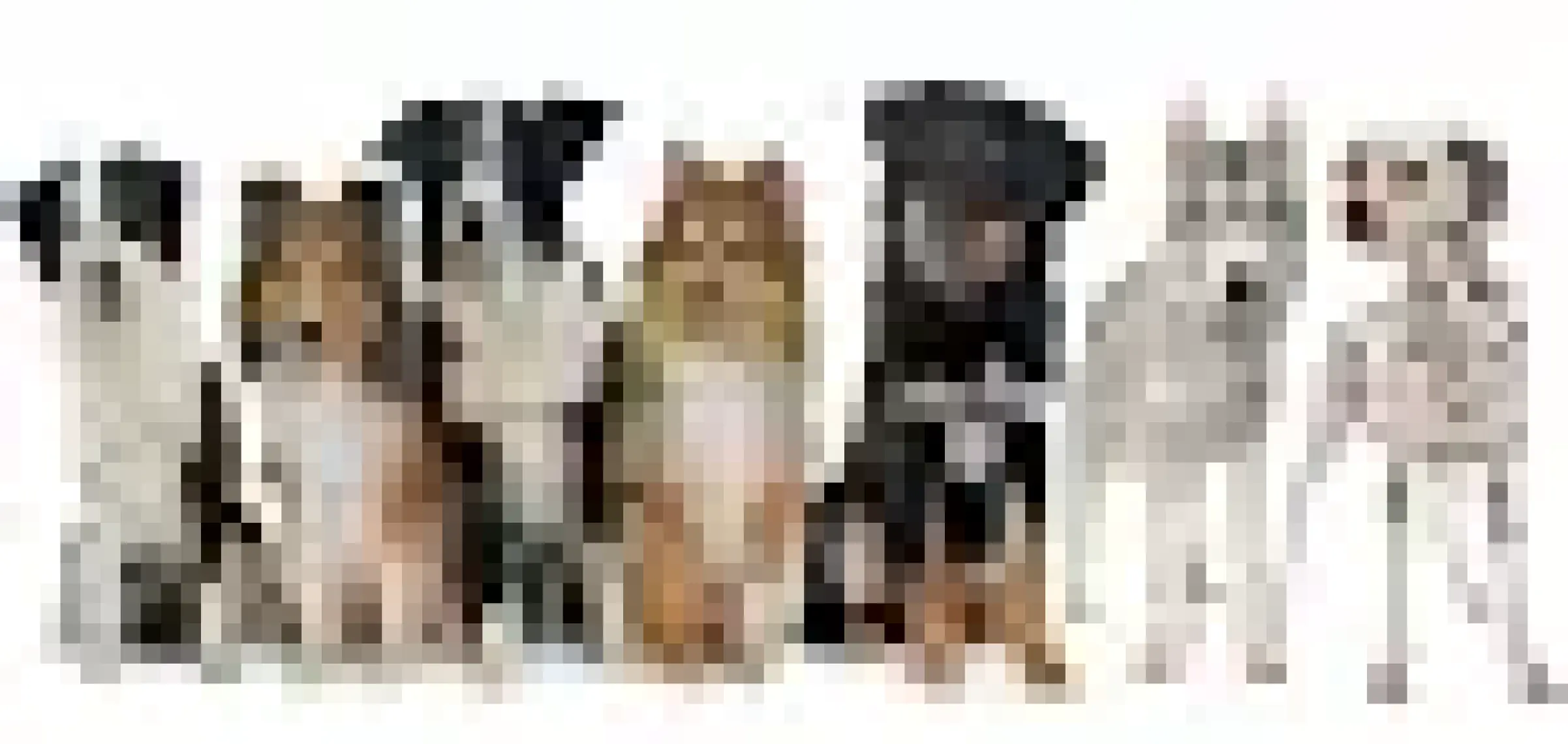 Animonda Gran Carno Sığır Etli ve Ispanaklı Yetişkin Köpek Konservesi 400 gr