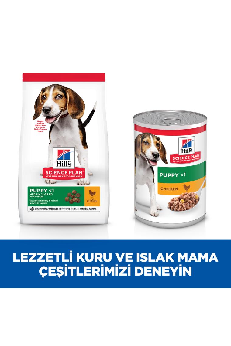 Hills Tavuklu Yavru Köpek Konserve Maması 370 gr