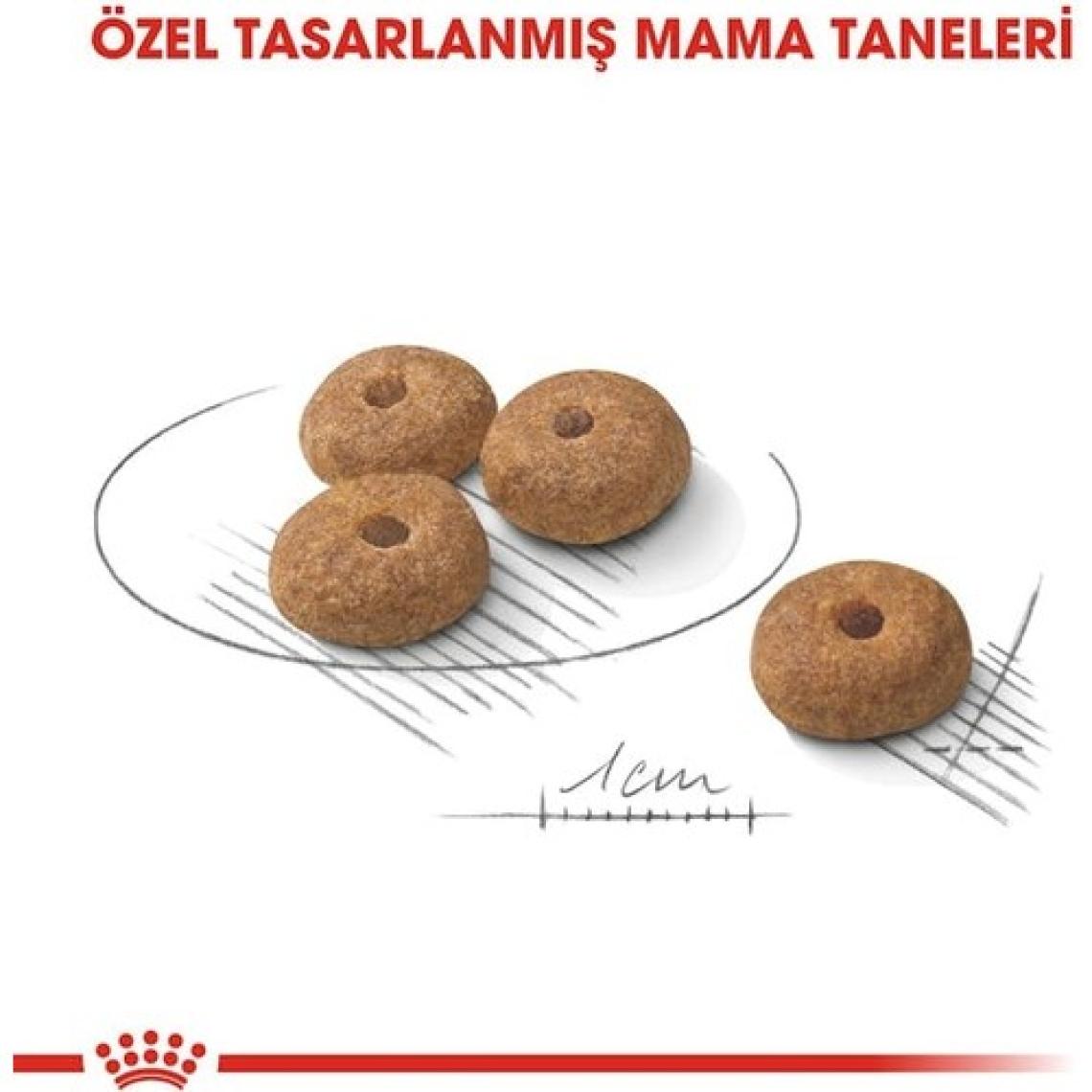 Royal Canin Mini Sterilised Küçük Irk Kısırlaştırılmış Yetişkin K