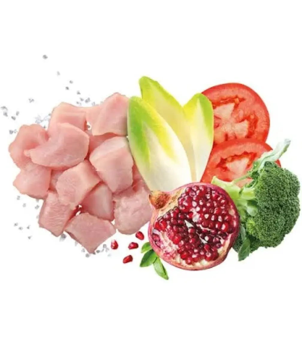 Exclusion Mediterraneo Monoprotein Düşük Tahıllı Tavuklu ve Narlı Küçük Irk Light Köpek Maması 2 kg