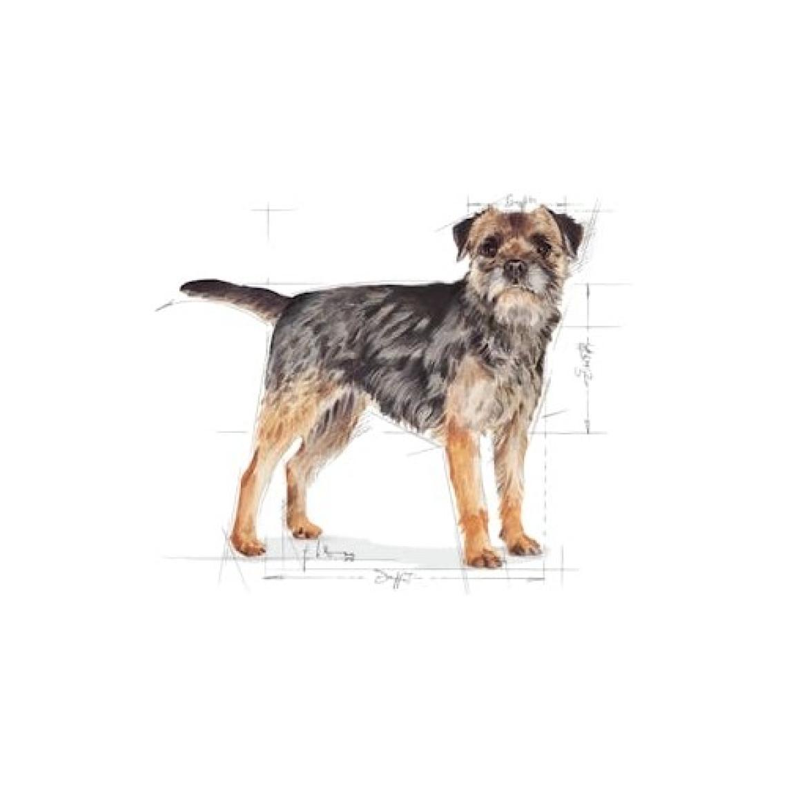 Royal Canin Mini Sterilised Küçük Irk Kısırlaştırılmış Yetişkin K