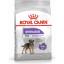 Royal Canin Mini Sterilised Küçük Irk Kısırlaştırılmış Yetişkin K