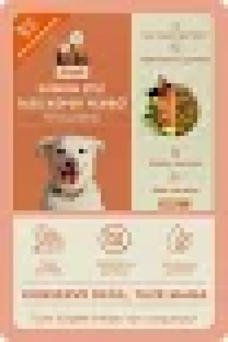 Kito Fresh Tavuk Etli Taze Köpek Yemeği, 250GR