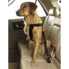 Tineke Evcil Hayvan Araç Emniyet Kemeri Kedi Köpek Araba Oto Tasması Oto Aksesuarları  PEMBE