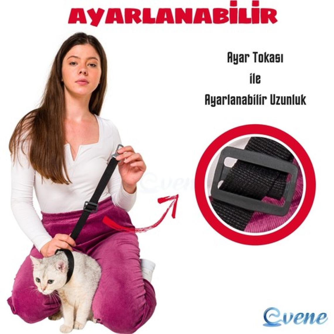 Evene Evcil Hayvan Araç Emniyet Kemeri Emniyet Tasması