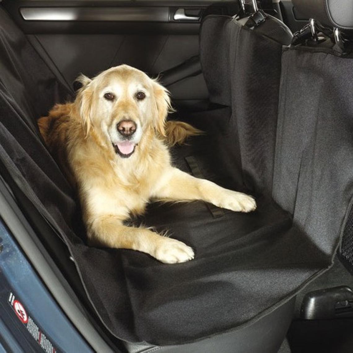 Ankaflex Araba Araç İçi Arka Koltuk Kedi Köpek Örtüsü