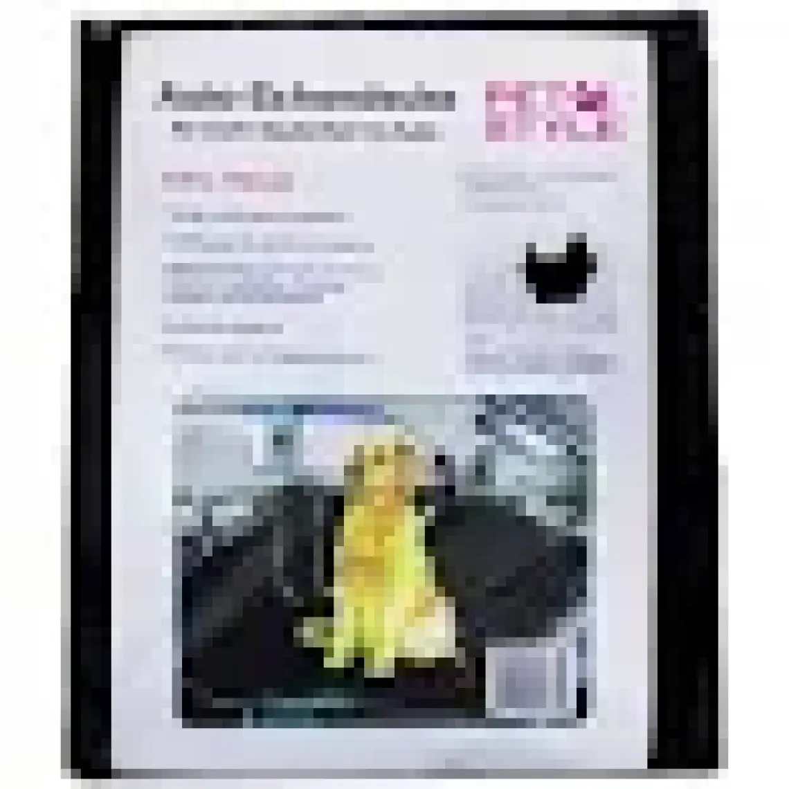 Pet Style Atlantis Araç Koltuk Kılıfı 145 Cm X 150 Cm