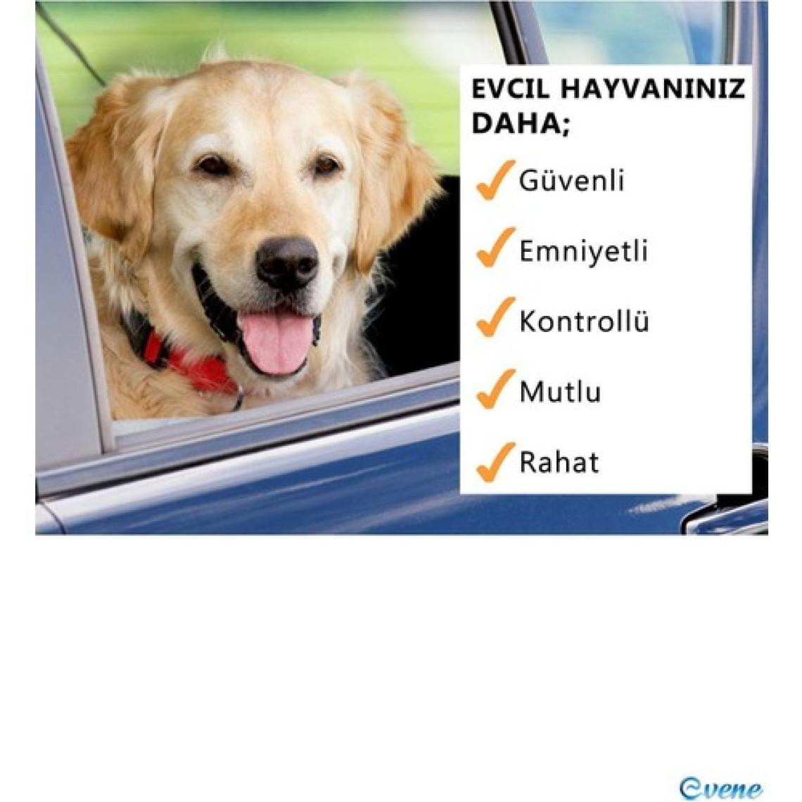 Evene Evcil Hayvan Araç Emniyet Kemeri Emniyet Tasması