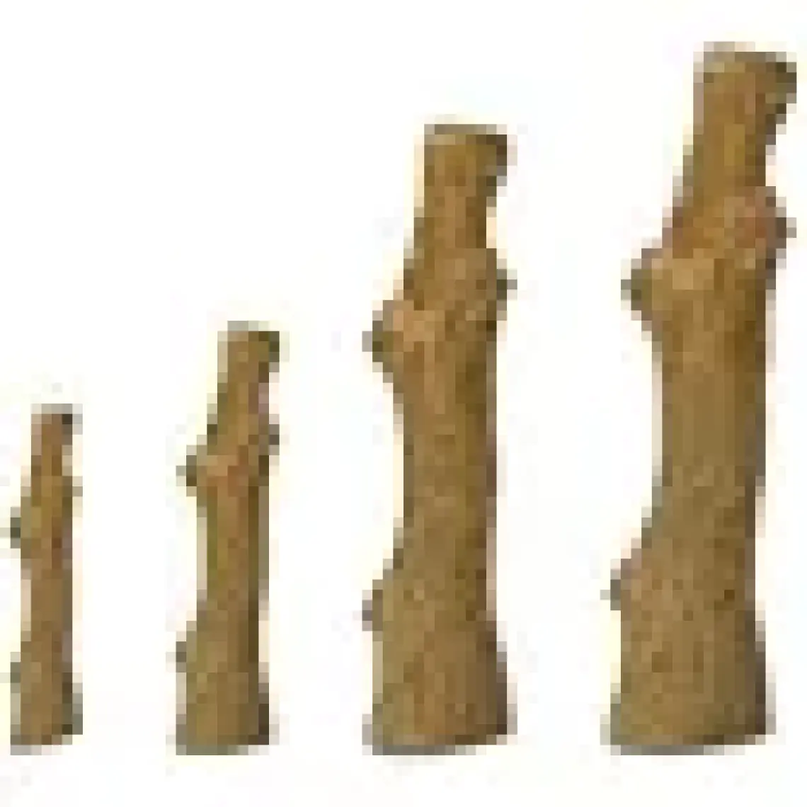 Petstages Durable Stick- Large Bitmeyen Kemik Köpek Oyuncağı Diş Kaşıyıcı