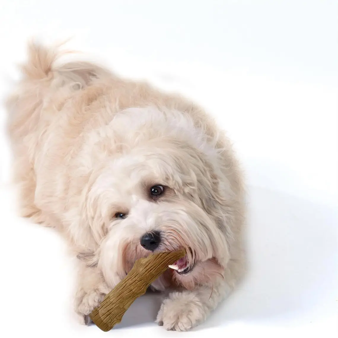 Petstages Durable Stick-Small Bitmeyen Kemik Köpek Oyuncağı Diş Kaşıyıcı