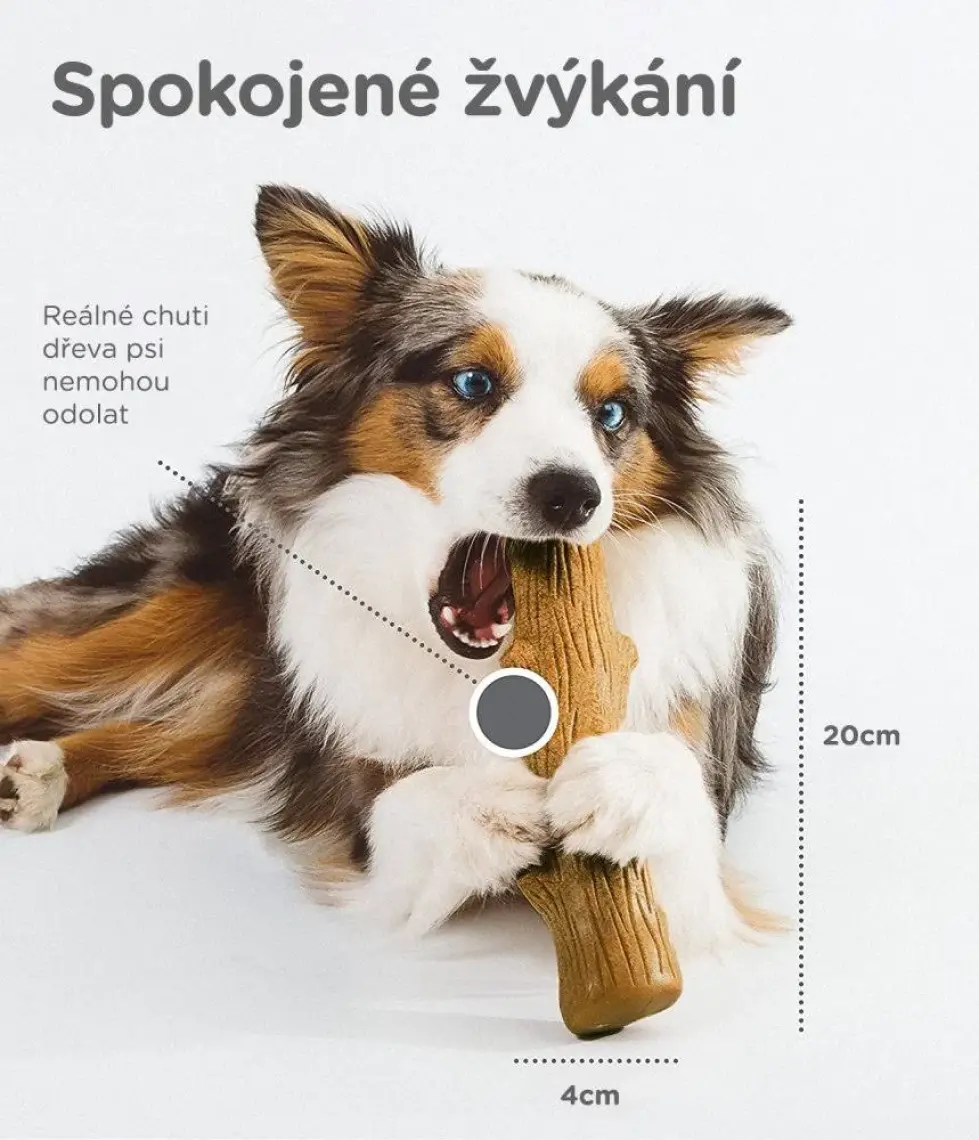 Petstages Durable Stick-Small Bitmeyen Kemik Köpek Oyuncağı Diş Kaşıyıcı