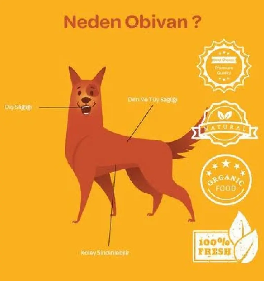 Dibo Kurutulmuş Kuzu Kelle Derisi Beyaz 100 gr