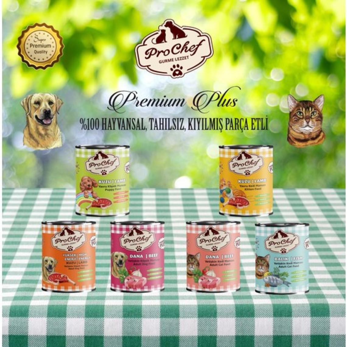 Prochef 20 Adet Premium Plus Yetişkin Köpek Maması | 415 gr Dana Etli Konserve Yaş Mama