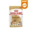 Royal Canin Köpek Mama Pomeranian Köpek Konserve 12X85GR
