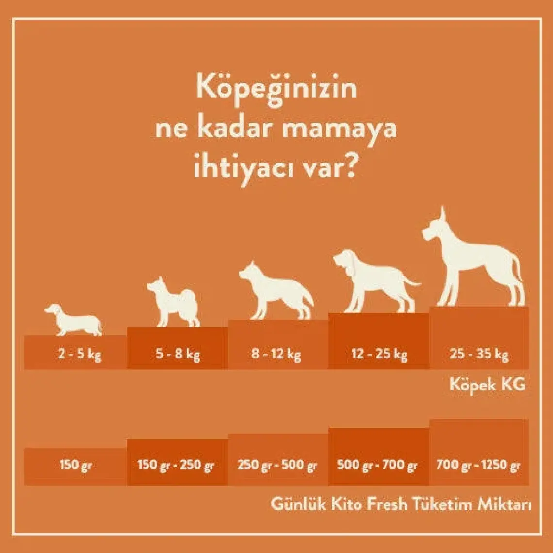 Kito Fresh Tavuk Etli Taze Köpek Yemeği