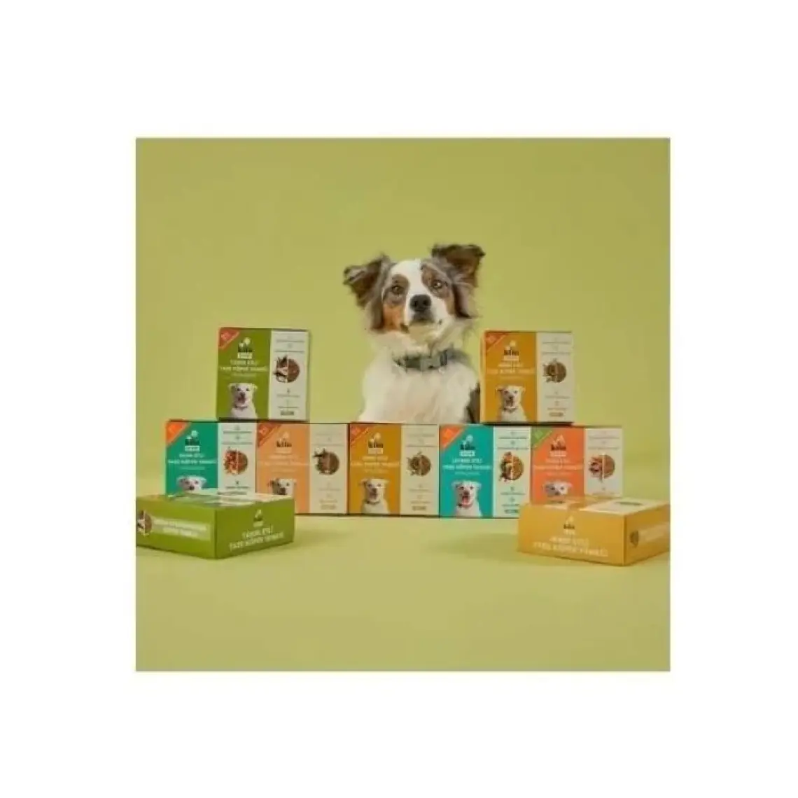 Kito Fresh Tavuk Etli Taze Köpek Yemeği
