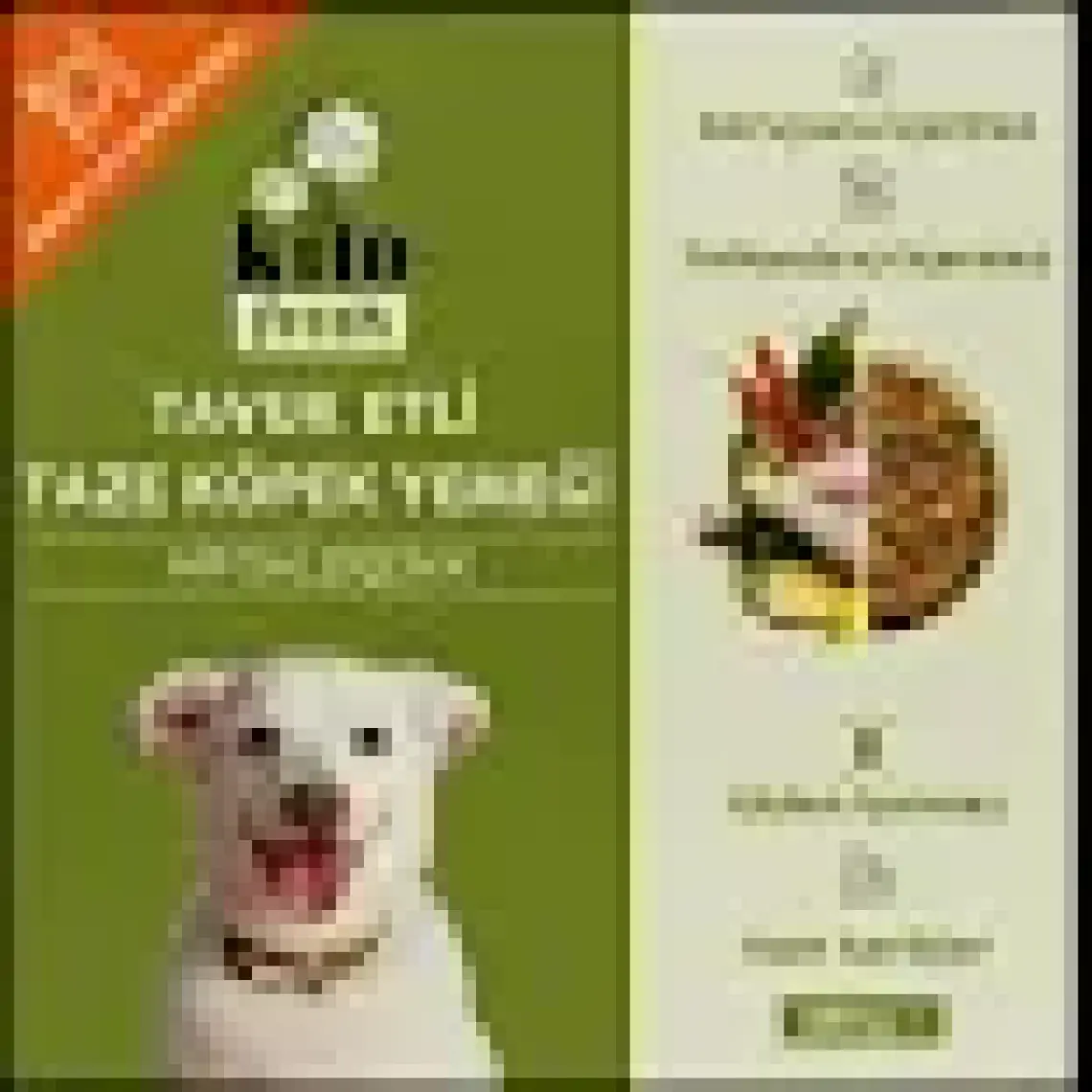 Kito Fresh Tavuk Etli Taze Köpek Yemeği