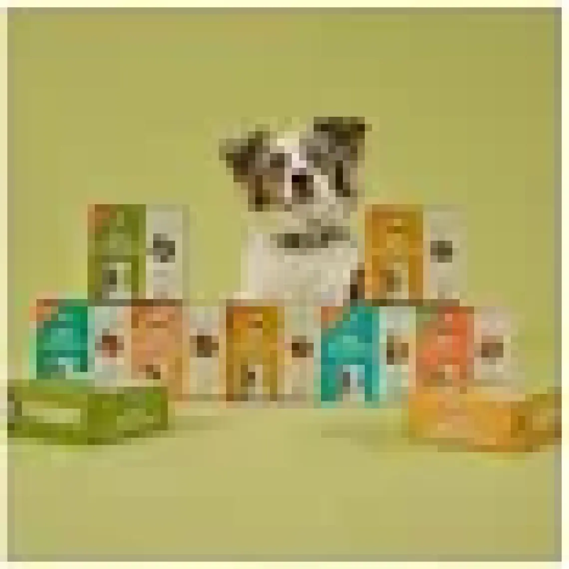 Kito Fresh Tavuk Etli Taze Köpek Yemeği