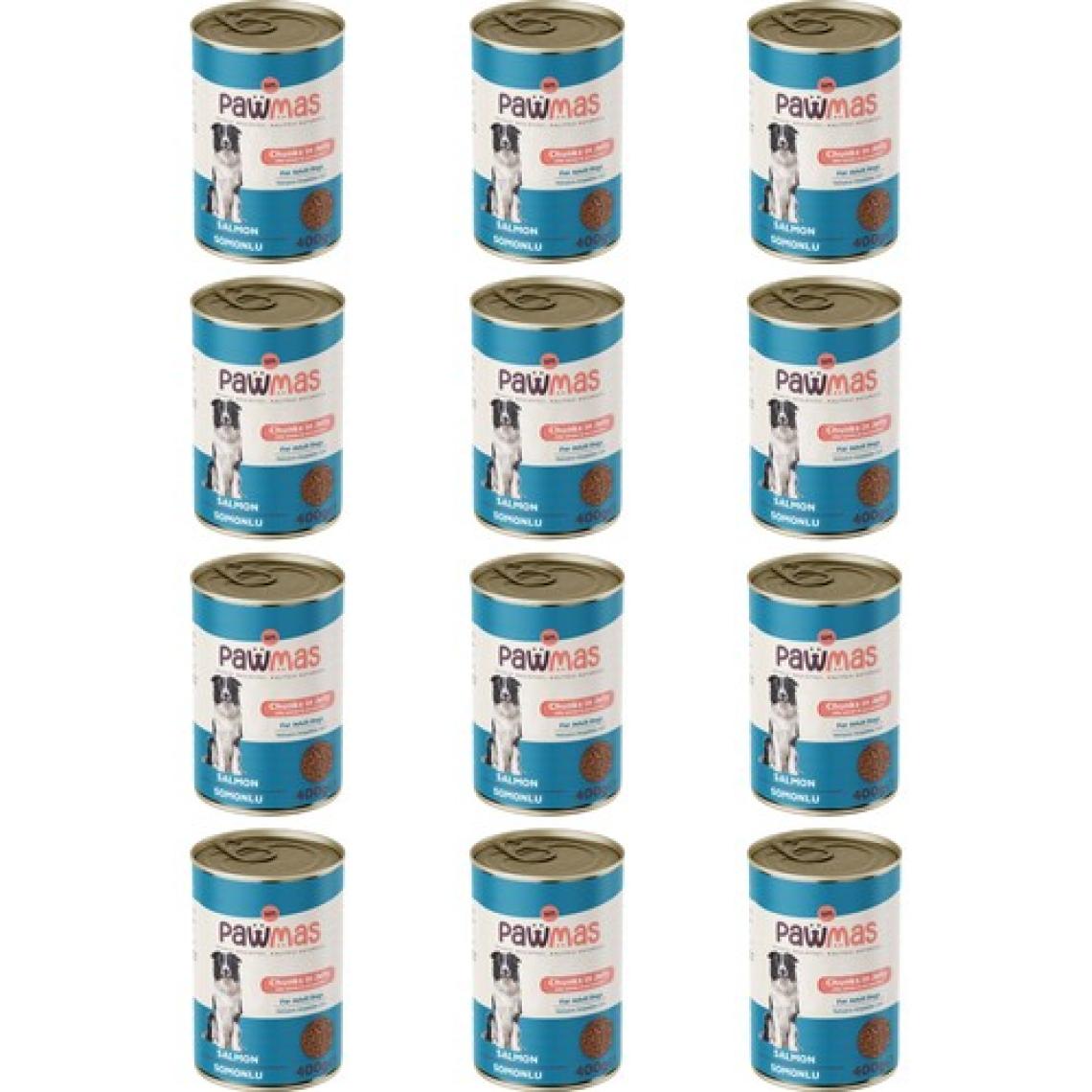 Pawmas Somonlu Yetişkin Köpek Konservesi 400 gr x 12 Adet